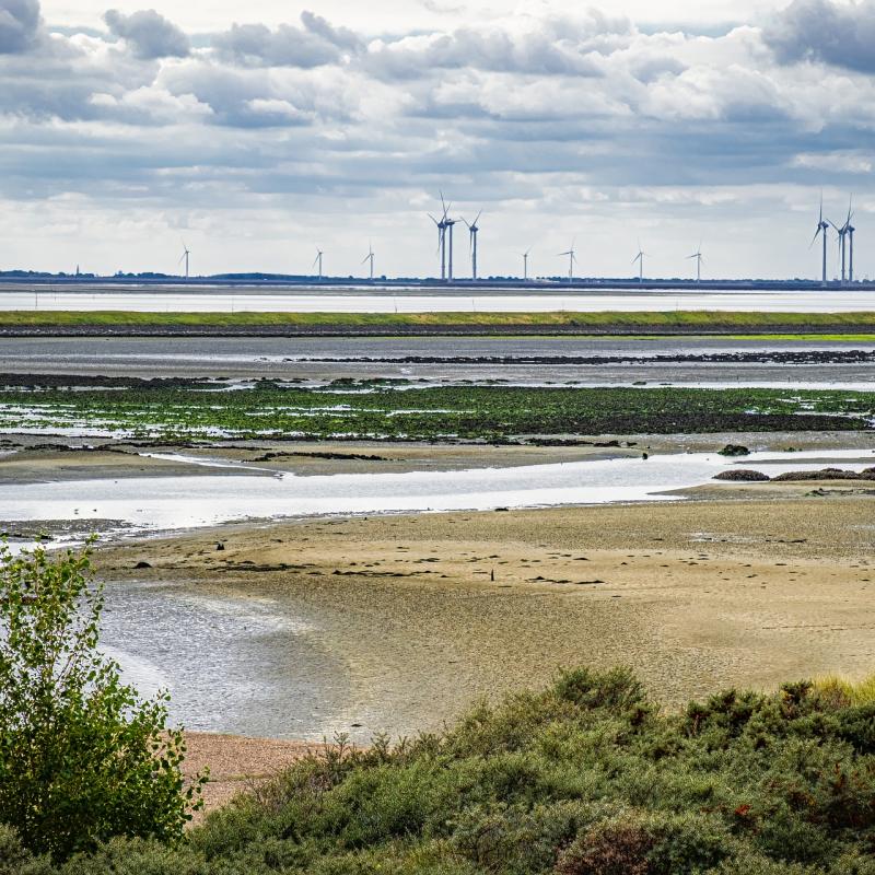 Natuurgebied Schelphoeck in Zeelan. Water en zandvlaktes met windmolens op de horizon.