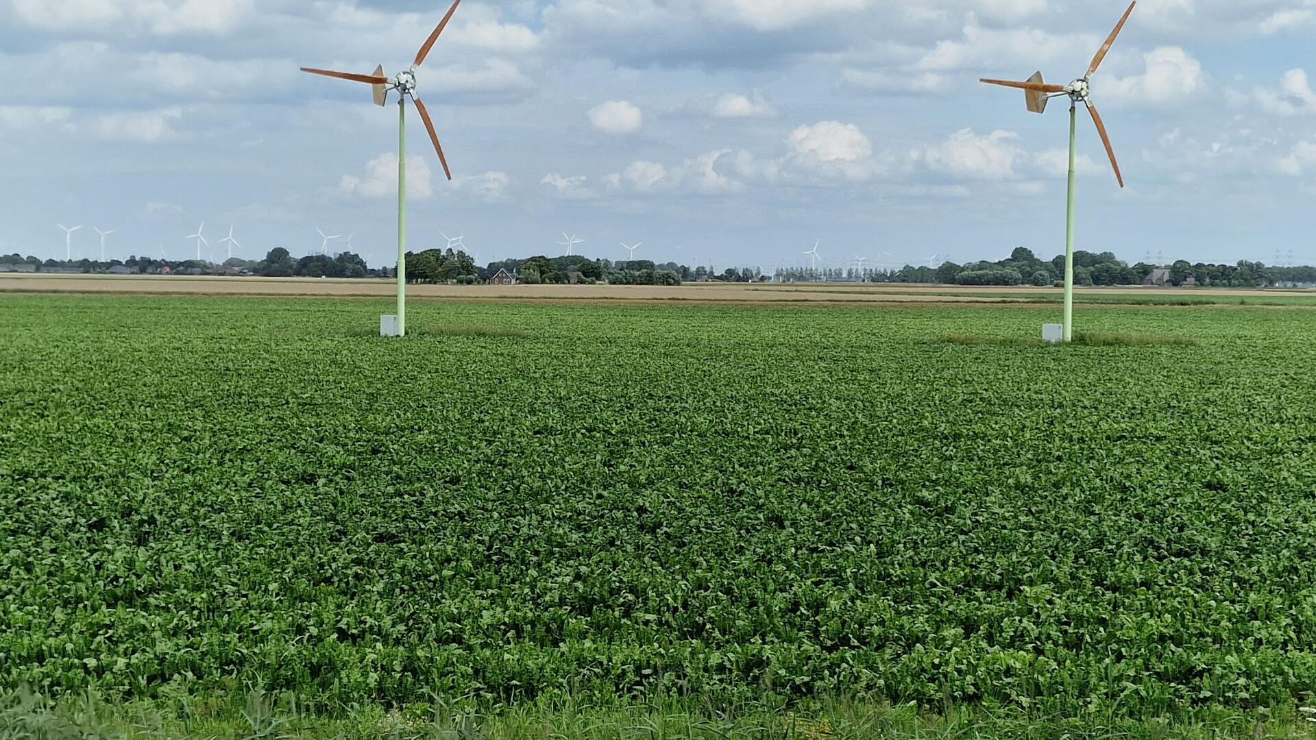 eaz iets minder klein